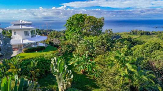 Piñuela , Piñuela Bahía Ballena Osa, Puntarenas 00001, Costa Rica