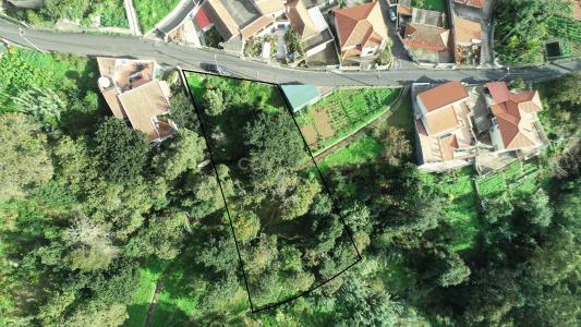 Funchal, Madeira 9020-082, Portugal