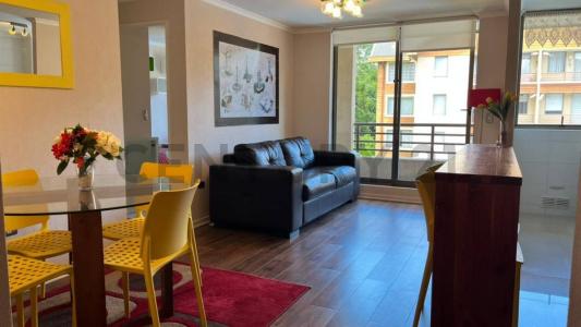 Cautín, Región De La Araucanía 00001, Chili