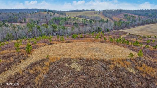 Possom Trot Rd. - Tract 2, Grandview, Tennessee 37337, États-Unis