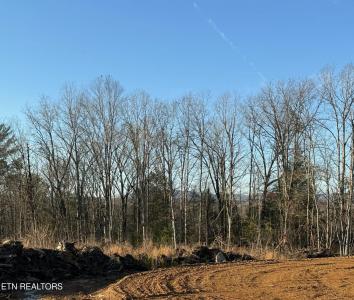 Possum Trot Rd. - Tract 14, Grandview, Tennessee 37337, États-Unis