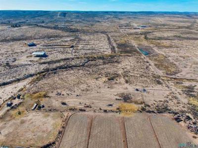 W of 4603 Harmon Lane, Carlsbad, New Mexico 88220, Amerika Birleşik Devletleri