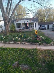 815 E Benton Avenue, Ava, Missouri 65608, HOA KỲ