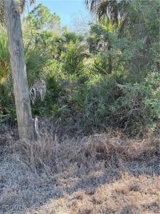 5013 Gunn Street, Labelle, Florida 33935, Stati Uniti