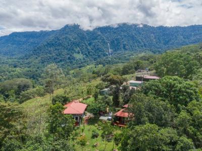 Barucito , Barú Barú Pérez Zeledón, San José 00001, Kostaryka