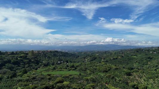 Grecia Grecia, אלחואלה 20303, קוסטה ריקה 