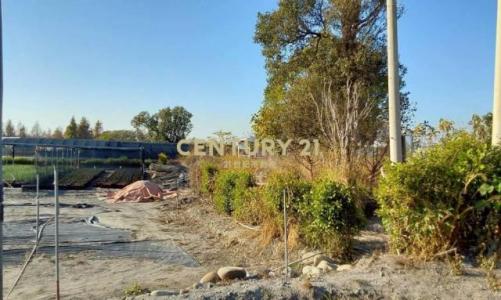 新中社段, Houli Dist., Тайчжун 421, Тайвань