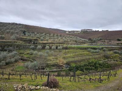 São João Da Pesqueira, Viseu 5130-071, Portugal