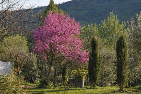 Badajoz, Estremadura 06300, Espanha