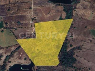 Cuauhtemoc, Colima 28590, México