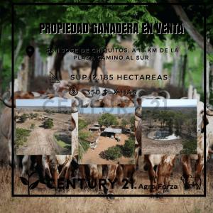 Este, Santa Cruz 0000, Bolivia