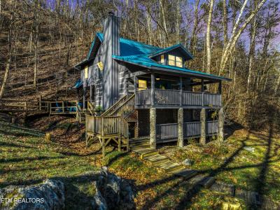 260 Black Mash Hollow Rd, Townsend, Tennessee 37882, USA