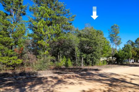LOT 23 E Marigold East Avenue, Defuniak Springs, Florida 32433, USA