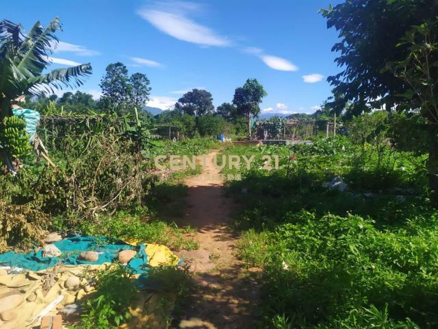 永興段, 龍潭區, Taoyuan 325, Taïwan