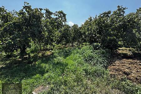Kocaeli, Turquía