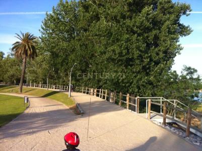 Coruche, Santarem 2100-052, Portugal