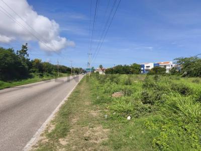 La Plaza de Paraguachí, Nueva Esparta 6301, Venezuela