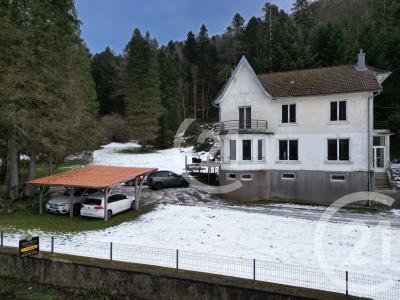 Lepuix, Franche-Comté 90200, France