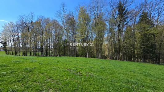 Strmec pri Sv. Florjanu, Rogaška Slatina, Savinjska 3252, Slovenia