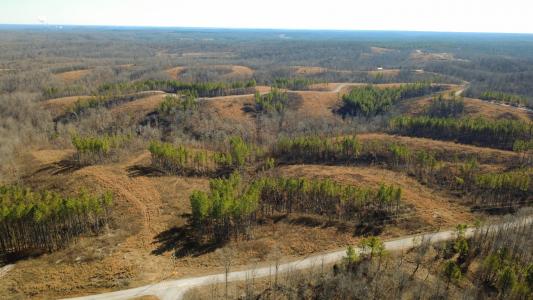 45 Saddleback Dr, Dover, Tennessee 37058, Estados Unidos