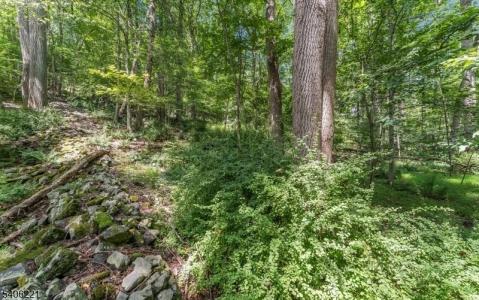 00 Sweet Hollow Rd, Holland Twp., New Jersey 08848, USA