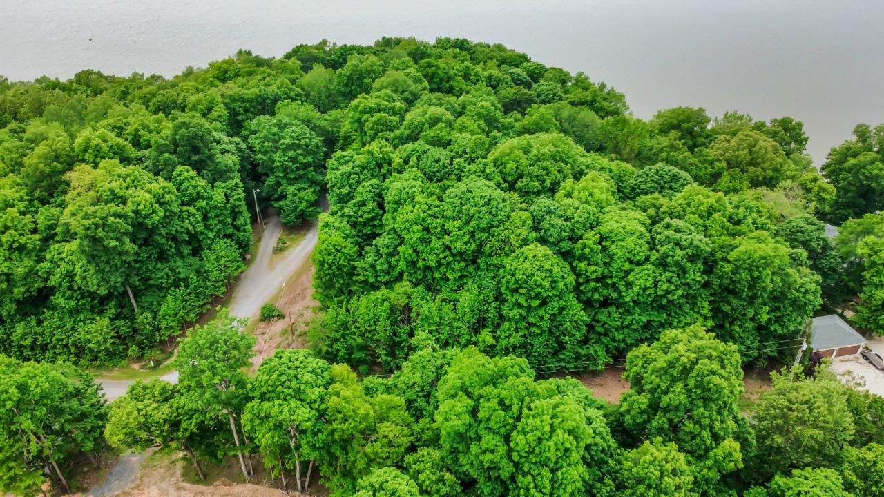 0 Eleanor Way, Cadiz, Kentucky 42211, USA