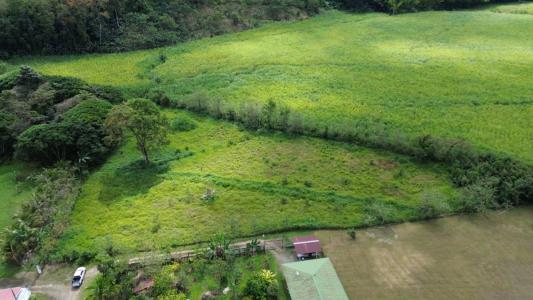 Turrialba Turrialba, Cartago 30501, Costa Rica