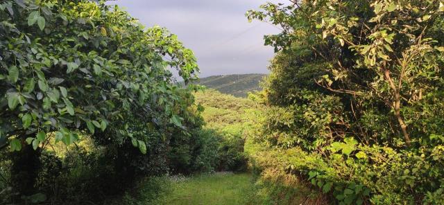 茂長段北11鄉道, Sanzhi Dist., Nuova Taipei 252, Taiwan