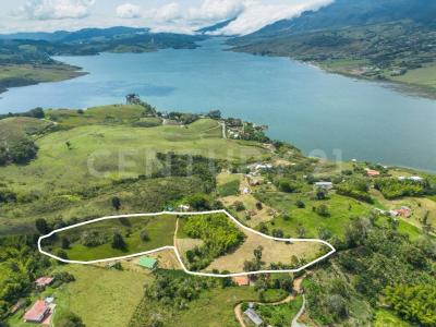 Calima, Valle Del Cauca 00001, Colombie