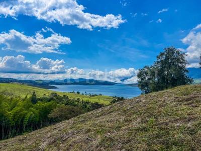 Calima, Valle Del Cauca 00001, Colombie