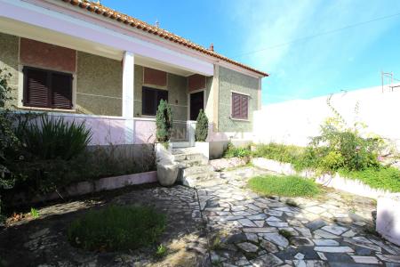 Cartaxo, Santarem 2070-366, Portugal