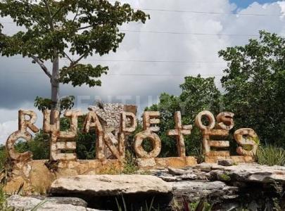 Puerto Morelos, ولاية كينتانا رو 77580, المكسيك