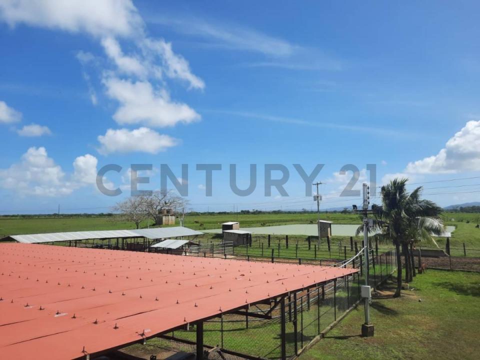 Morón, Carabobo 00001, Venezuela