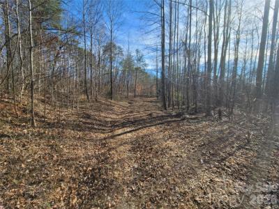 0 Smith Waldrop Road, Columbus, North Carolina 28722, Stati Uniti