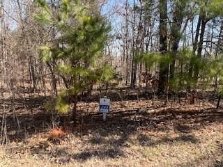 Lot 244 Parrish Ridge Lane, Goreville, Illinois 62939, HOA KỲ