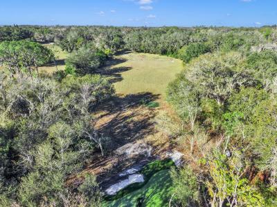 15024 Carlton Lake Rd, Wimauma, フロリダ 33598, アメリカ合衆国
