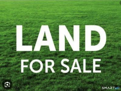 993 N Main Street, Waterbury, 康乃迪克州 06704, 美國