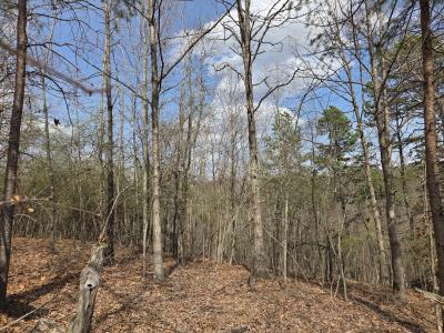 D Street, Louisa, Kentucky 41230, États-Unis