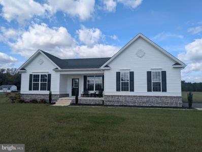 20727 WILSON ROAD, GEORGETOWN, Delaware 19947, Stati Uniti