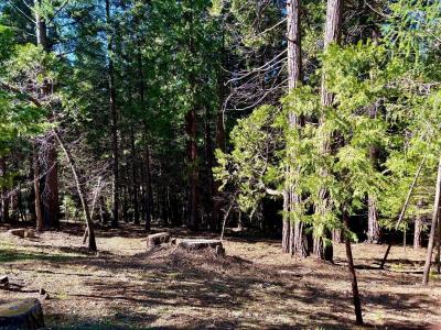 Park Woods Drive, Pollock Pines, California 95726, USA