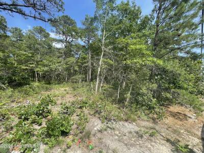 1463 Route 539, Little Egg Harbor, NJ 08087, USA