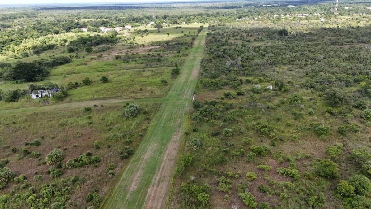 Cotton Tree, Cayo 00001, Belize