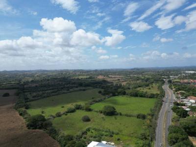 El Ejido Los Santos, Los Santos 00001, Panama