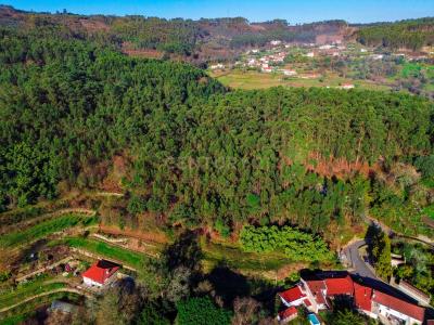 Vila Verde, Braga 4730-000, Portugal