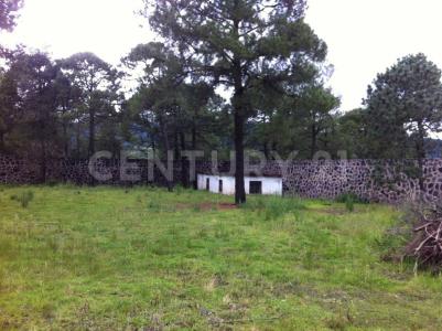 Eduardo Hay S/N,, Tlalpan, Ciudad De México 14760, Mexique