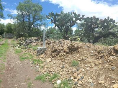 magnolias sn,, Temascalapa, Estado De México 55980, Mexico