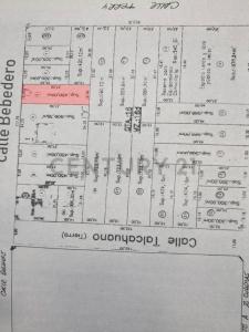 BEBEDERO Y TERRY -, Merlo, GBA Oeste 00001, Argentina