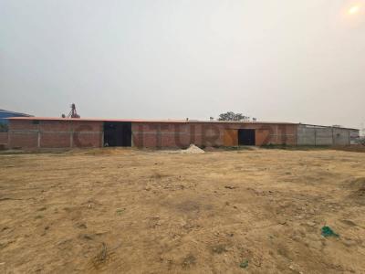 Nueva Trinidad I., Beni 00001, Bolívia