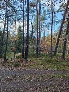 Winsen, Andalucia 21435, Germany