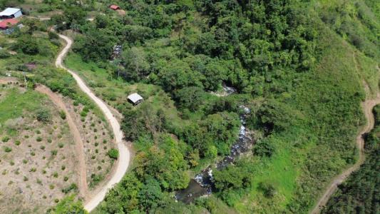 Pejibaye Jiménez, Cartago 00001, Costa Rica